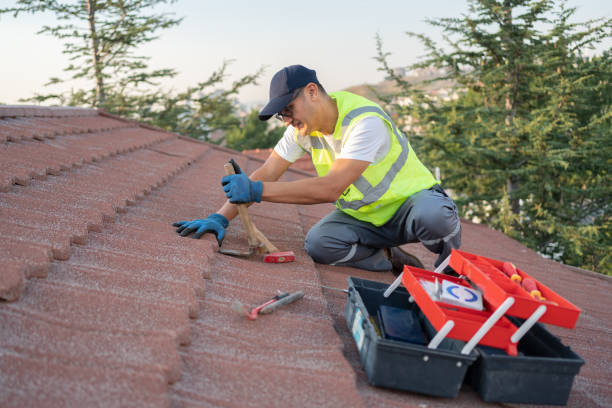 Best Gutter Installation and Roofing  in Mount Oliver, PA