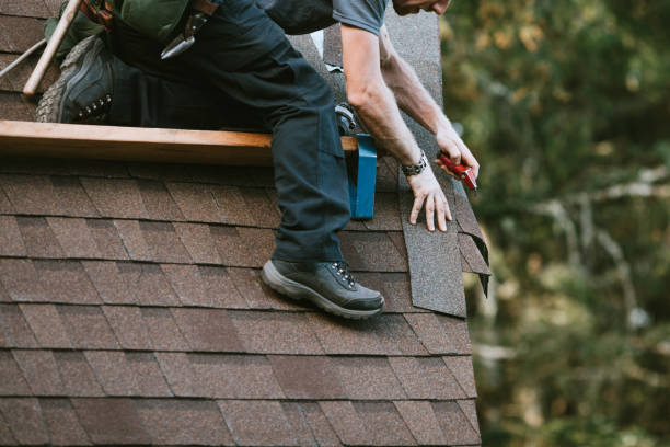 Roof Gutter Cleaning in Mount Oliver, PA